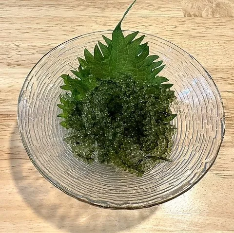 海ブドウ